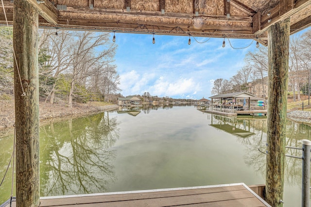 dock area with a water view