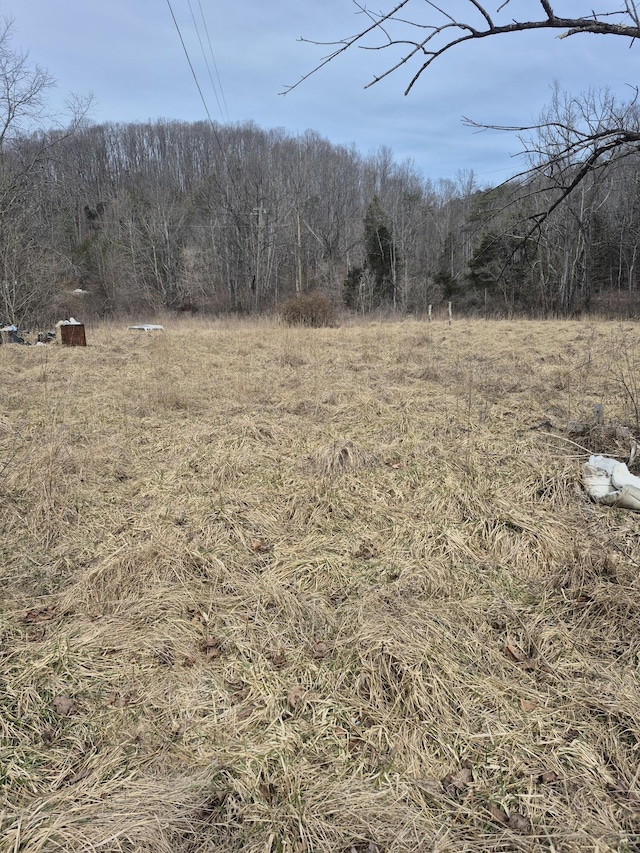 1075 Lithia Rd, Buchanan VA, 24066 land for sale