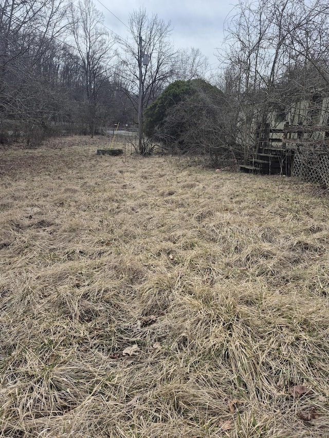 2201 Lithia Rd, Buchanan VA, 24066 land for sale