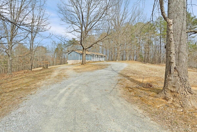 view of street featuring driveway