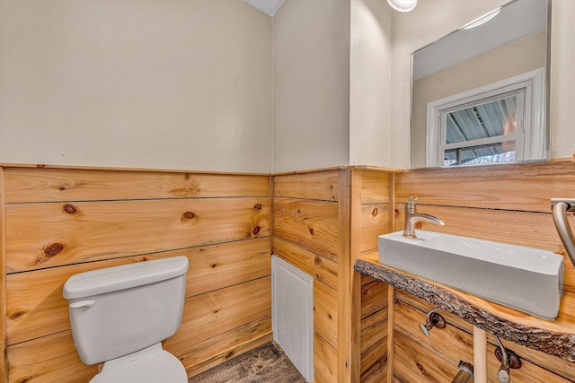 bathroom with toilet and a sink