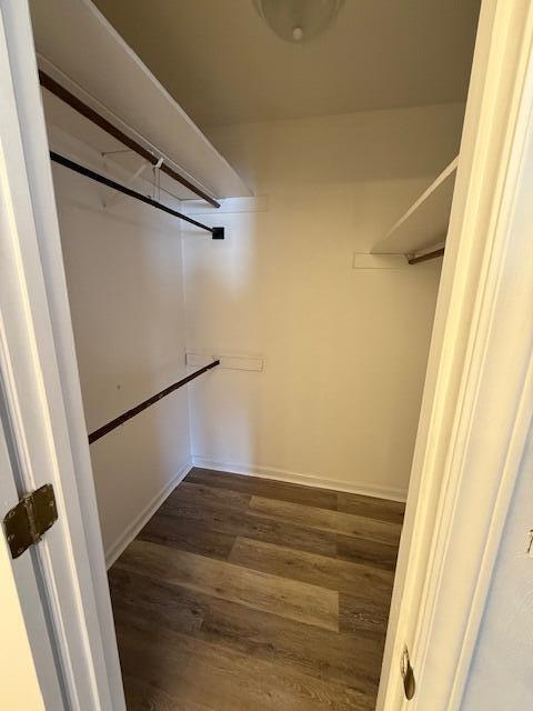 walk in closet with wood finished floors