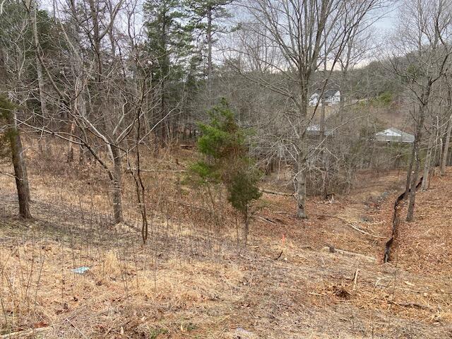 LOT37 Lakewatch Cir, Moneta, VA 24121