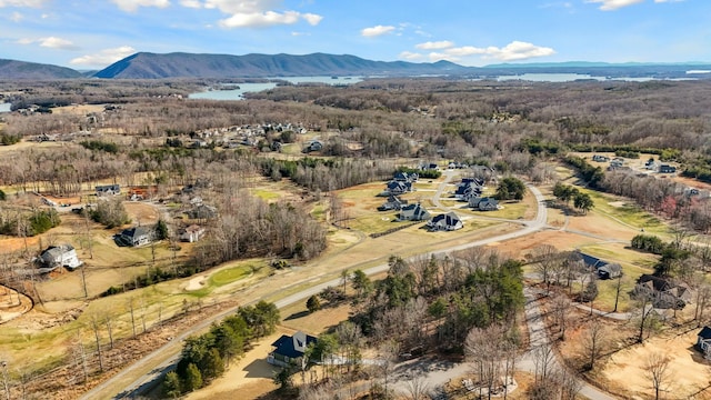 birds eye view of property with a mountain view