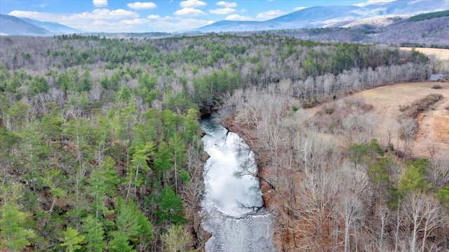 0 Craig Creek Rd, Eagle Rock VA, 24085 land for sale