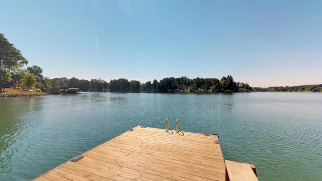 dock area with a water view