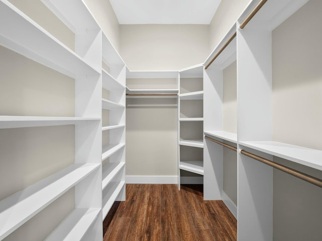 walk in closet featuring dark wood-style floors