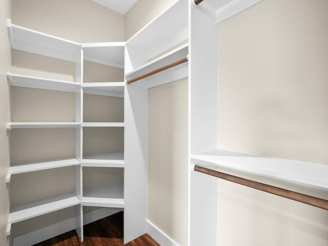 walk in closet with dark wood-style floors