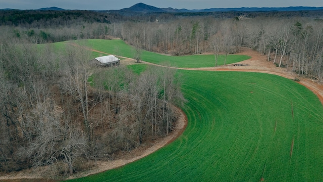 bird's eye view with a mountain view