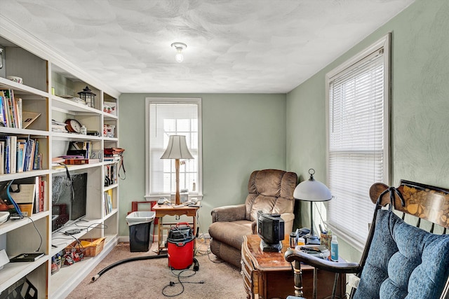 living area with baseboards and carpet flooring