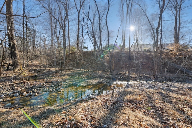 view of water feature