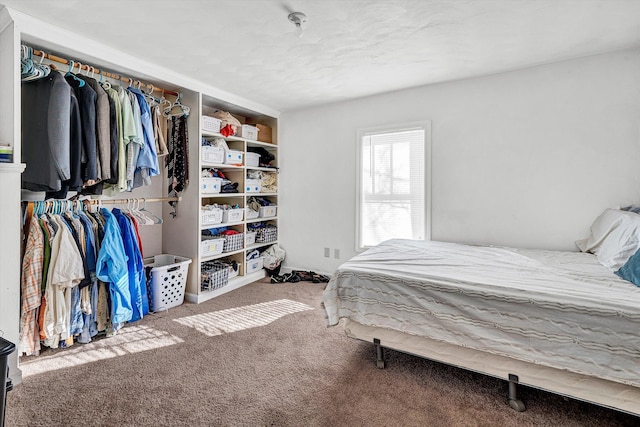 bedroom with carpet