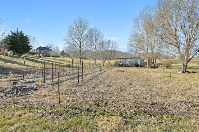 view of yard featuring a rural view, an outdoor structure, and fence