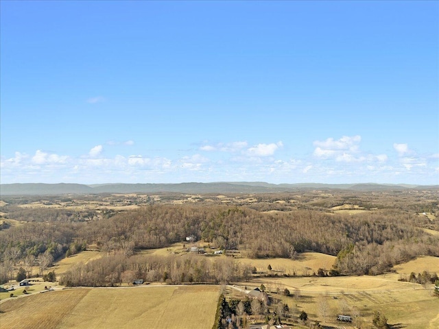 aerial view with a mountain view