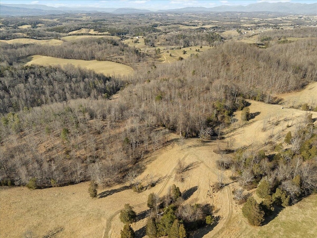 birds eye view of property featuring a mountain view