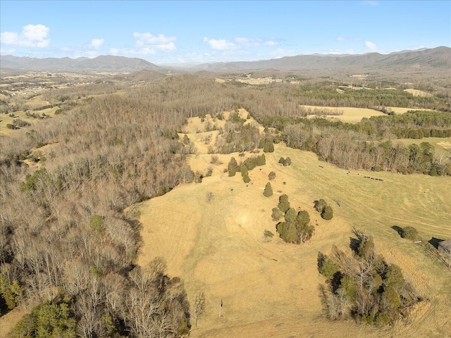 aerial view featuring a mountain view