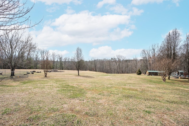 view of yard featuring a forest view