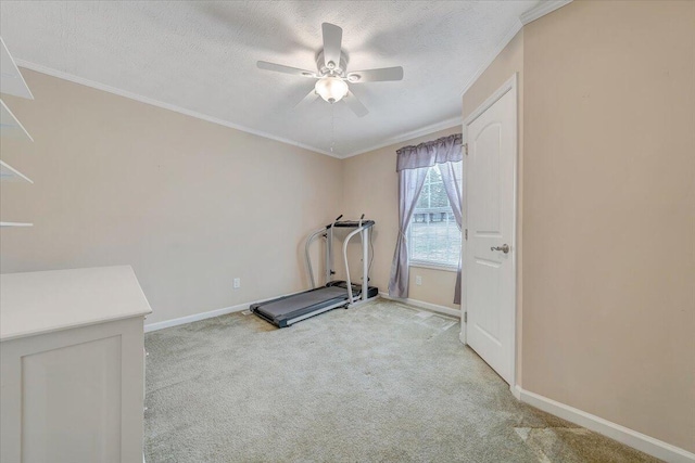 exercise area featuring ornamental molding, carpet flooring, baseboards, and a textured ceiling