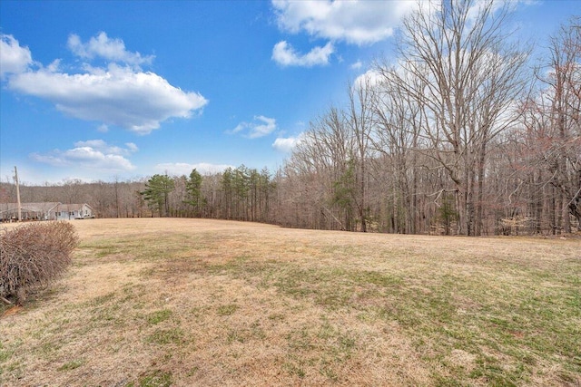 view of yard featuring a wooded view