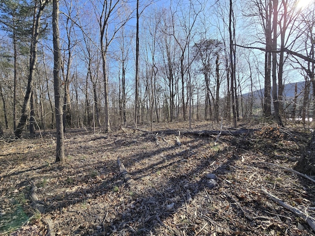 Listing photo 2 for LOT2 Coltons Mill Rd, Bedford VA 24523