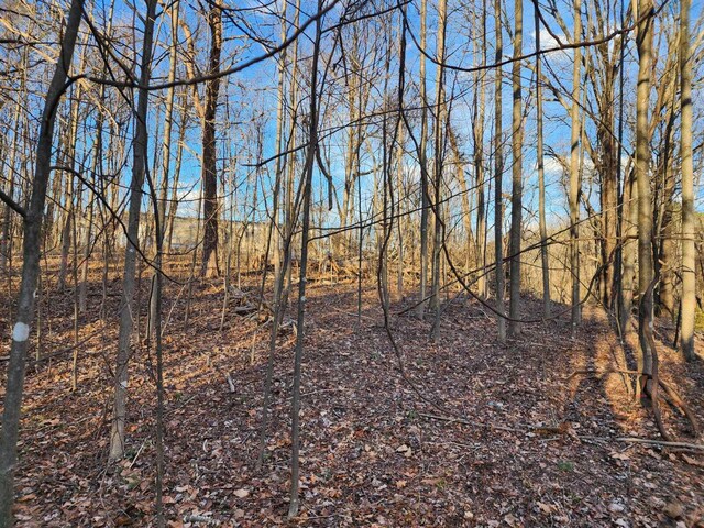 0 Valley Rd, Troutville, VA 24175