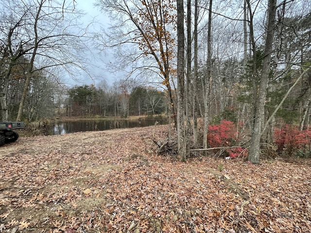 9154 Dickerson Mill Rd, Moneta VA, 24121 land for sale