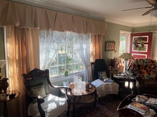 living area with a healthy amount of sunlight, ceiling fan, and ornamental molding