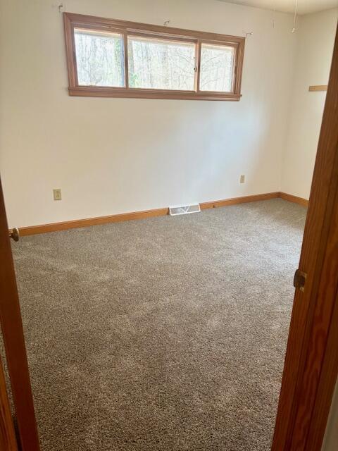 182 Dogwood Ln, Troutville, VA 24175 - carpeted spare room with a wealth of natural light, visible vents, and baseboards