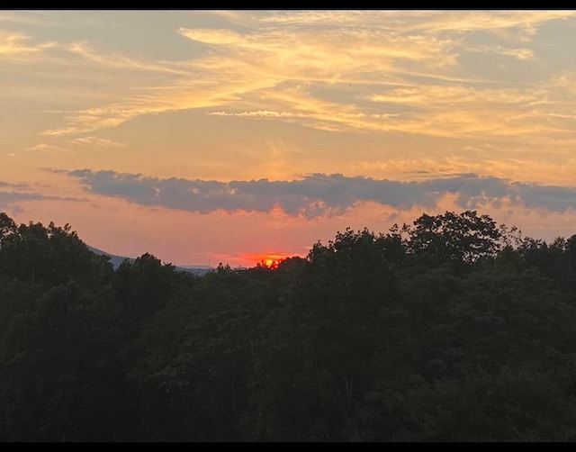 view of nature at dusk