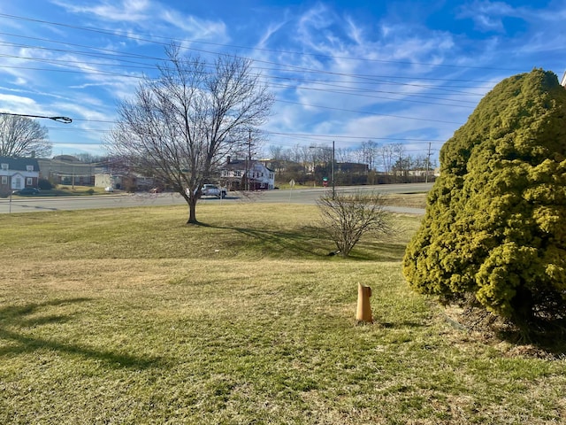 view of yard