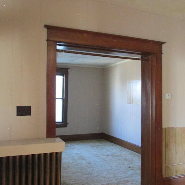 empty room featuring wooden walls, baseboards, and carpet floors