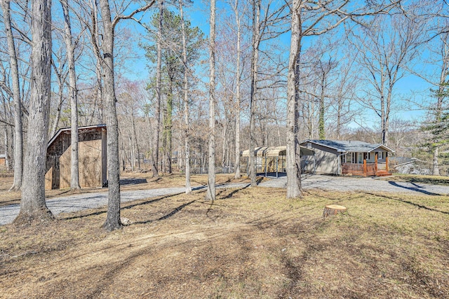 view of yard featuring driveway