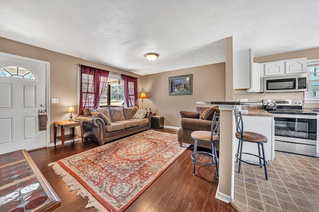 living area featuring baseboards and hardwood / wood-style floors