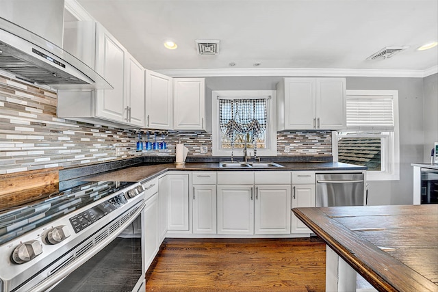 kitchen with white cabinets, appliances with stainless steel finishes, ventilation hood, and a sink