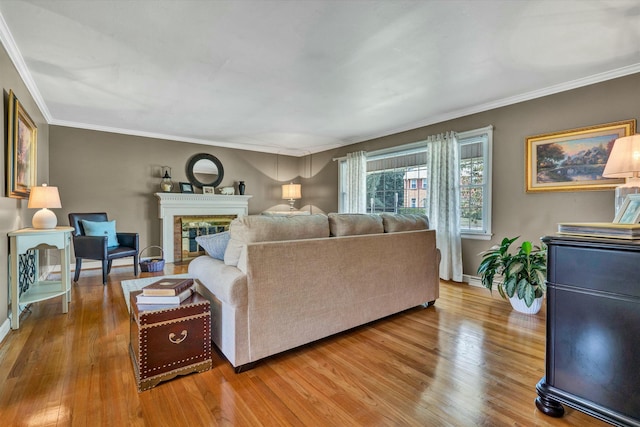 living area featuring a fireplace, crown molding, baseboards, and wood finished floors