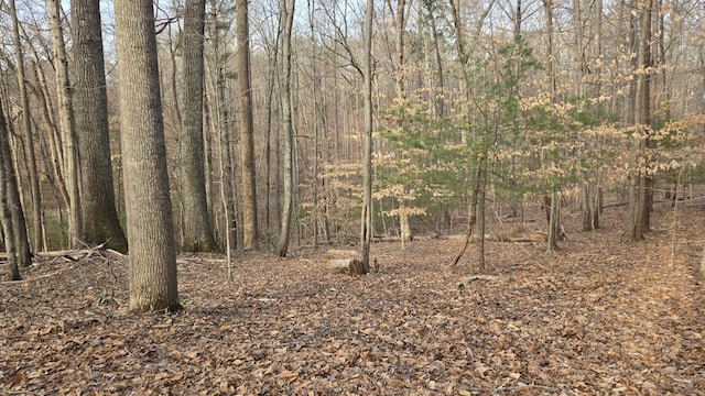 LOT60 Cherrywood Ln, Moneta, VA 24121