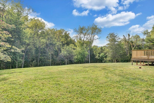 view of yard featuring a wooden deck and a wooded view