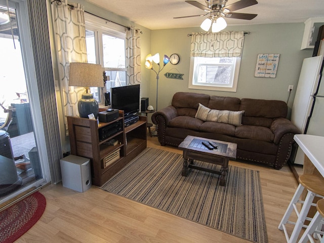 living area with ceiling fan and light wood finished floors