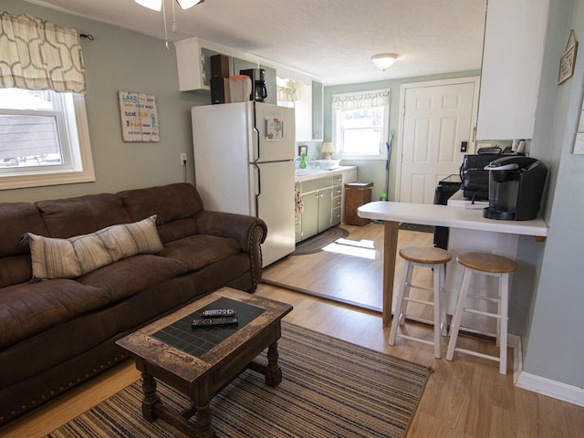 living room featuring a ceiling fan and light wood finished floors