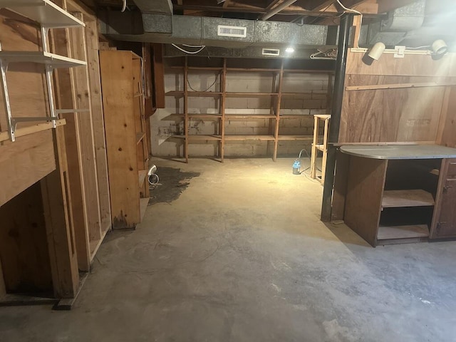 unfinished basement with visible vents