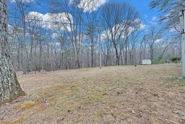 view of yard featuring a forest view