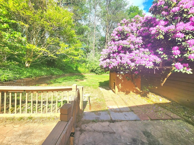 7167 Bent Mountain Rd, Roanoke, VA 24018 - view of yard