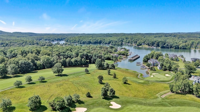 40 Sandpiper Cir, Penhook, VA 24137 - bird's eye view of a heavily wooded area, a nearby body of water, and a local golf course