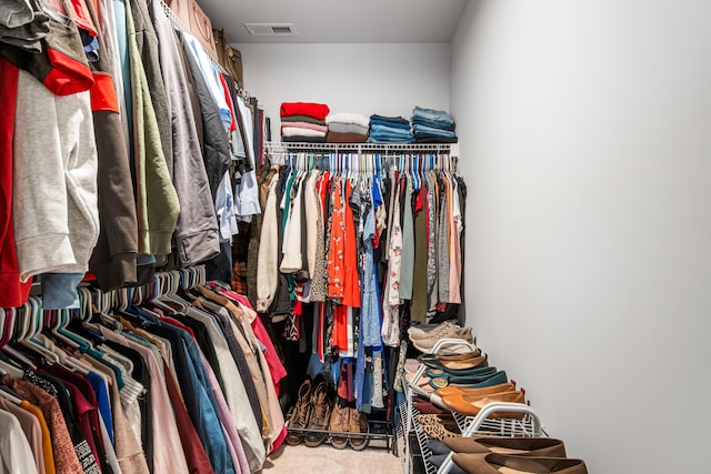 1042 Round Meadow Dr, Christiansburg, VA 24073 - view of walk in closet