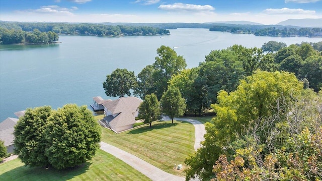 birds eye view of property with a view of trees and a water view