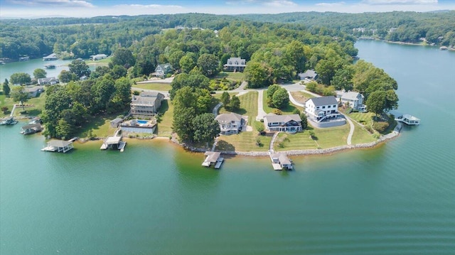 bird's eye view with a forest view and a water view