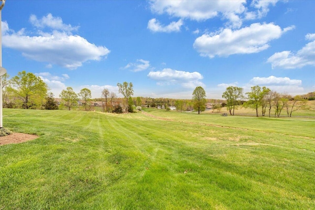 view of yard with a rural view