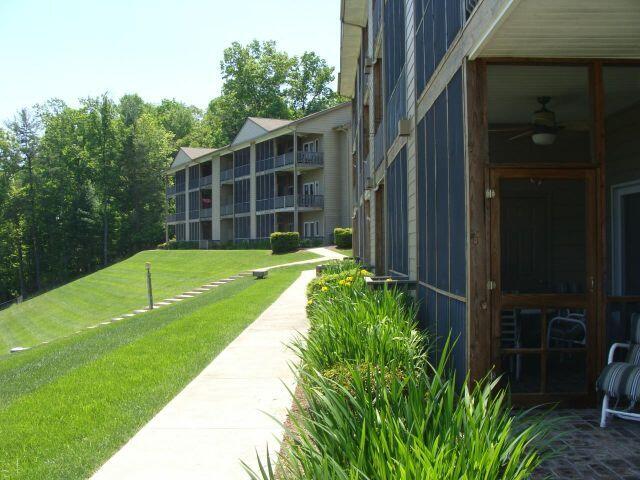 view of home's community featuring a yard