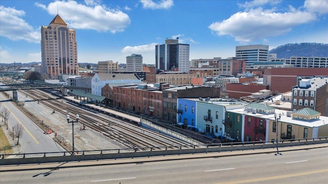 133 Norfolk Ave SW, Roanoke, VA 24011 - city view