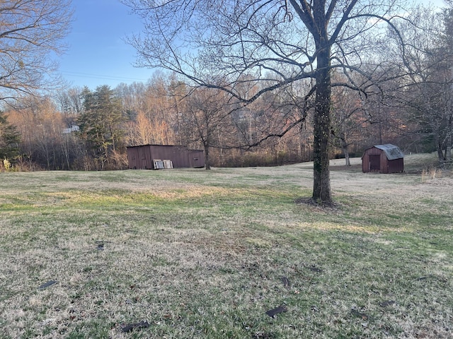 451 Grand Lake Dr, Ridgeway, VA 24148 - view of yard with a storage unit and an outbuilding